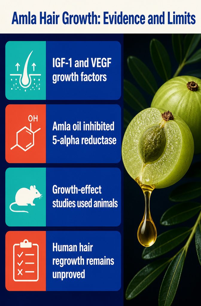 Beauty infographic about evidence and limits of amla hair growth claims