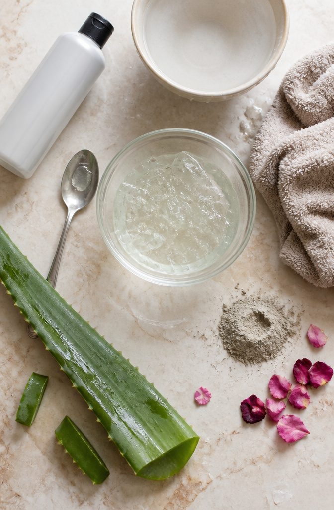 Aloe vera for scalp hydration and hair care