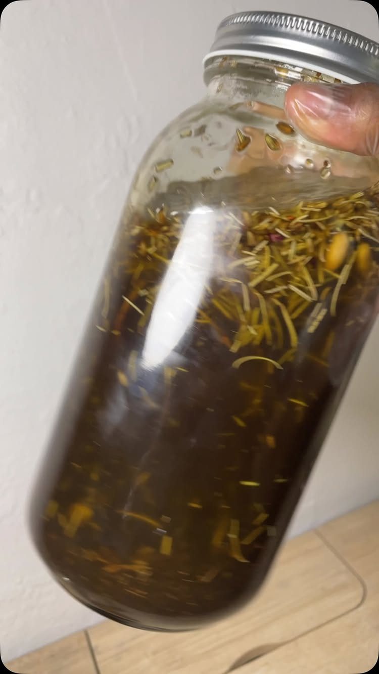 Glass jar filled with dark herbal oil infusion and dried botanical needles.