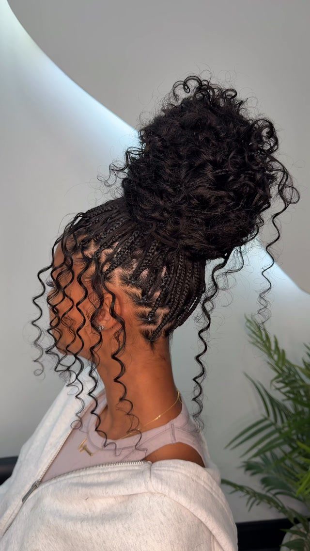 Person with scalp braids and a large curly bun with loose curly tendrils.