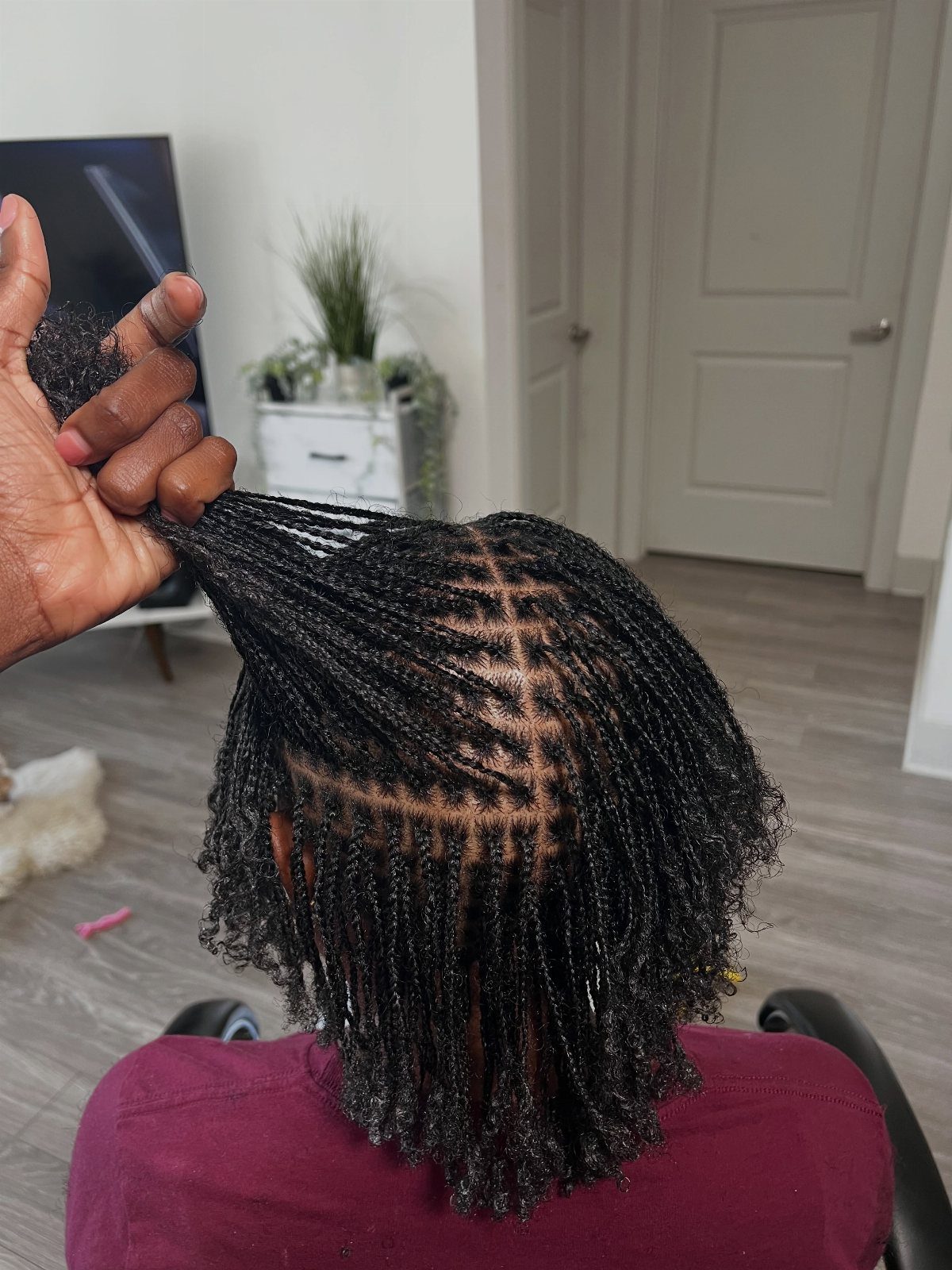 Back view of a person with many thin, fine micro braids.