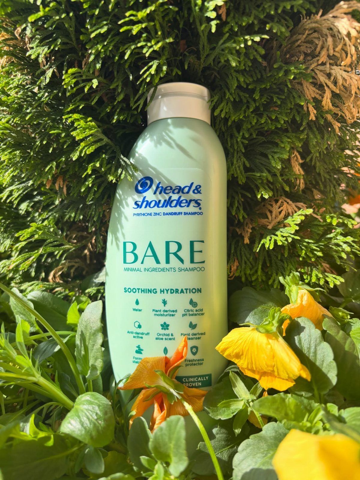 Head and Shoulders BARE shampoo bottle surrounded by green leaves and yellow flowers.